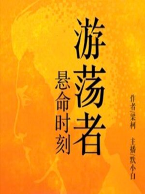 cover image of 游荡者